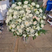 فروش گل طبیعی بصورت آنلاین|گل و گیاه طبیعی|تهران, صادقیه|دیوار