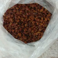 کشمش قرچک ورامین|خوردنی و آشامیدنی|قرچک, مهدیه|دیوار