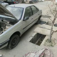 ۴۰۵ مدل ۹۰ دوگانه کارخانه نقره