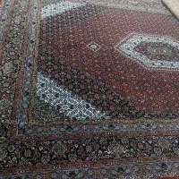 فرش|فرش|دورود, |دیوار