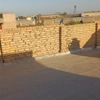 دمسفید|پرنده|سوسنگرد, |دیوار