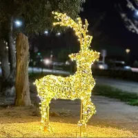 مجسمه (المان نوری)