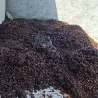 خریدار ضایعات خرما ‌‌‌(سلینک)