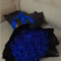 گل.|گل و گیاه طبیعی|بندرعباس, |دیوار