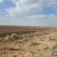 فروش زمین سه قطعه کنار روستای قرخلر لب جاده|فروش زمین و ملک کلنگی|شراء, |دیوار