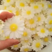 شمع بابونه، گیف شمع بابونه، شمع رو آبی عمده