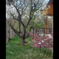 خانه مسکونی۳۰۵ متر فیروزکوه داخل بافت|فروش خانه و ویلا|فیروزکوه, |دیوار