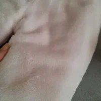 کاپشن تدی نوزادی|کفش و لباس بچه|ایلخچی, |دیوار