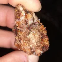 کواترز  کلکسیونی