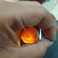 سنگ شب نه ما