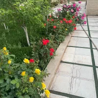 باغ-1500متری-سه-راه-فردوسی-سازمان-آب