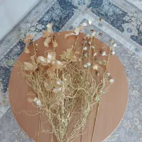 گل و پایه گل