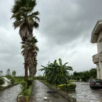 پیمانکاری و طراحی فضای سبز