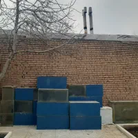 آکواریم ماهی