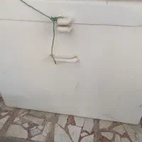 یخچال ماهی