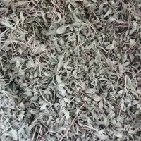 فروش‌اویشن