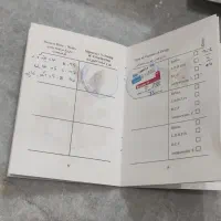 سگ...|سگ|بهبهان, |دیوار