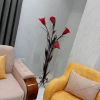 آباژور وکنار سالنی برقی خیلی شیک وخوشگل ۴ شاخه|چراغ خواب و آباژور|تبریز, |دیوار