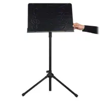 پایه نت استادی سناتور