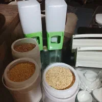 لوازم ضروری پرنده همه چیز موجوده حتی اسباببازی|لوازم جانبی حیوانات|مشهد, دانشجو|دیوار