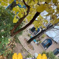 استخدام سالن کار خانم رستوران