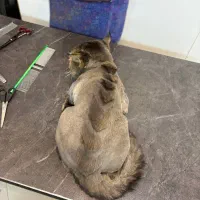 شغل پردرآمد کاملا تضمینی