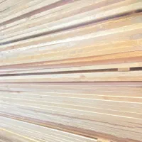 تخته چوبی روسی‌پالت چهارتراش بائومبل چوب سپیداری