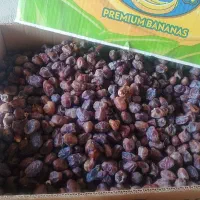 خرمای کبکاب متوسط وگوشتی کارتن موزی