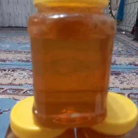 عسل سبزه کوه در لردگان|خوردنی و آشامیدنی|لردگان, |دیوار