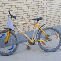 ۳۶۰۰۰۰۰|دوچرخه، اسکیت، اسکوتر|میرجاوه, |دیوار