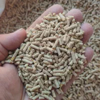 تغذیه مناسب مرغ تخم گذار تخم طلا دان موجود|حیوانات مزرعه|وحیدیه, |دیوار