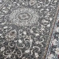 تعدادی فرش 500شانه و700شانه در رنگهای مختلف|فرش|جهرم, |دیوار