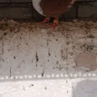 دوتا پرنده|پرنده|سبزوار, شهرک صنعتی خاوران|دیوار