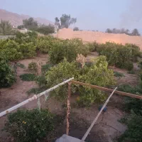 باغ|فروش زمین و ملک کلنگی|جنت, |دیوار