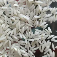 برنج هاشمی طارم ارگانیک