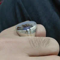 انگشتر نقره شجر|جواهرات|سنندج, |دیوار