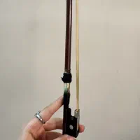 ویولن|ویولن|تهران, هروی|دیوار