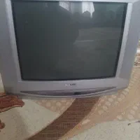 تلوزیون