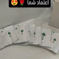 کبوتر پلنگ.انگل.پاکسازی|پرنده|رفسنجان, |دیوار