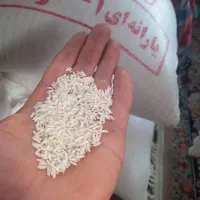 برنج هاشمی خانگی