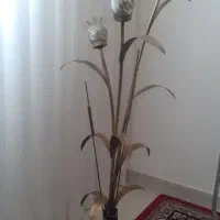 آباژور کنار سالنی
