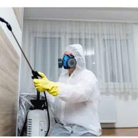 سم پاشی تخصصی ساس وکنه کبوتری ساس