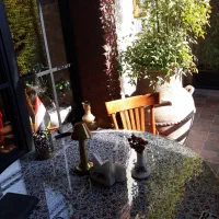 مدیر داخلی کافه پاره وقت