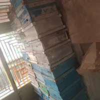 طبق کندو بدنه زنبور عسل