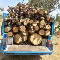 خرید انواع چوب .بالاترین قیمت نقد