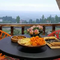 اجاره کلبه|اجارهٔ کوتاهمدت ویلا و باغ|نشتارود, |دیوار