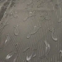 پارچه چادری مشکی ۵متری شیک