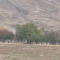 ادیتور و ادمین اینستاگرام و یوتیوب