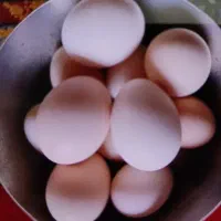تخممرغ محلی