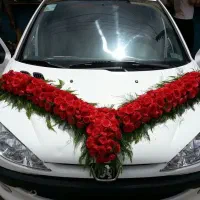 (( ماشین عروس تالار رایگان ))